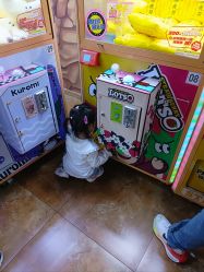 -木马王国(萧山银隆店)