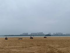 -柳湖沙月沙滩公园