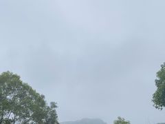 -广东惠东海龟国家级自然保护区