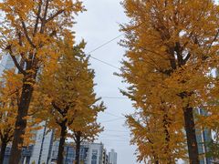 -两江幸福广场