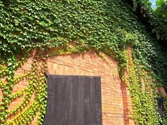 -梵几(东信·和创园店)