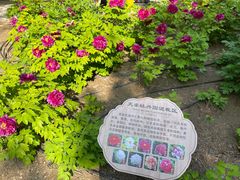 -太阳宫公园
