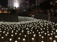门面-东大门市场