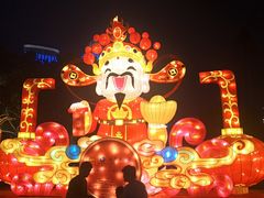 -万绿园