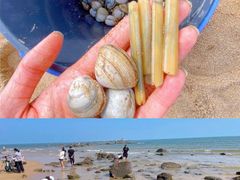 -前王院•巧克力海鲜市集餐厅(万平口店)