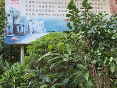 -台山颐和温泉城