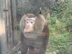 -黔灵山公园