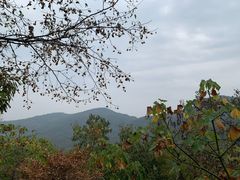 -皇藏峪国家森林公园