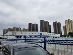 -聂师傅油焖大虾