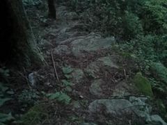 -东林大峡谷