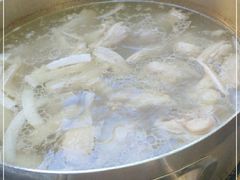 -探窝·竹笙椰子鸡(杨箕店)