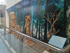 -延庆地质公园博物馆