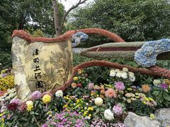 -杭州植物园