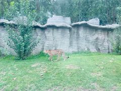 -北京野生动物园