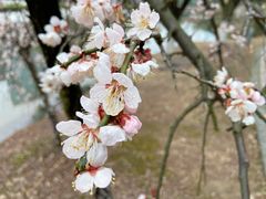 -白塘生态植物园