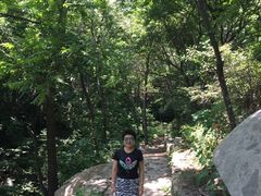 -大岭沟猕猴桃谷风景区
