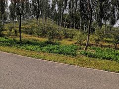 -东郊湿地公园