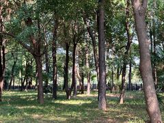 -东湖落雁景区