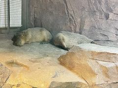 -宁波野生动物园
