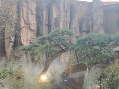 -忆江南·临江鱼馆