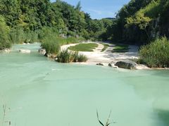 -上海吴淞炮台湾国家湿地公园