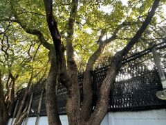 -上海宋庆龄故居纪念馆