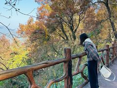 -广州市石门国家森林公园