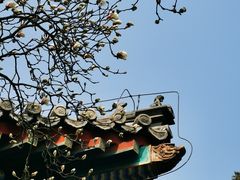 -红螺寺