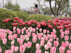 -玄武湖景区-情侣园游乐场