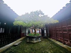 -水绘园
