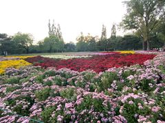 -国家植物园南园