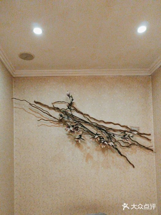 欣蒂国际美容美体会所(武胜路店)图片
