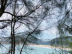 -广东惠东海龟国家级自然保护区