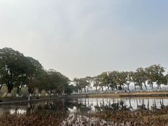 -小湾茶楼