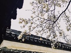 -常熟方塔园