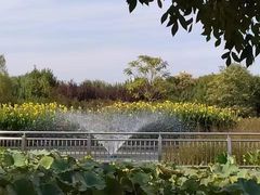 -保定东湖公园(莲池区)