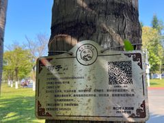 -万绿园