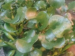 -宽田火锅(几江荣华店)