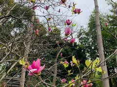 -云溪植物园