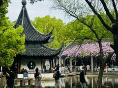 -西园寺素食(西园弄戒幢律寺店)