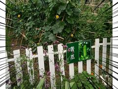 -三圣里·中餐宴请·自助烤肉·烤全羊·柴火鸡(旗舰店)