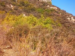 -封龙山风景区