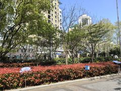 -徐家汇源景区-衡山公园