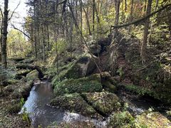 -五营红松林海景区