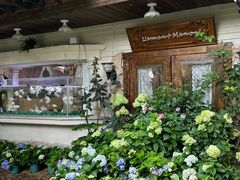 -Lamant Manor已闻花名关於蓝