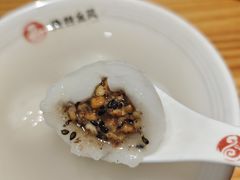 -海丝金凤(金鱼店)