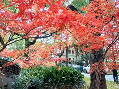 -申粤轩酒楼·三十年粤菜经典(丁香花园店)