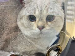 -瑞派天宁宠物医院·猫科·异宠中心