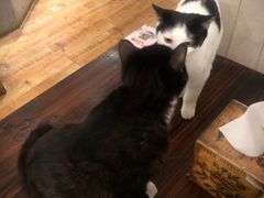 -么么咖啡(燕郊店)