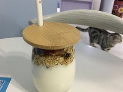 -喵的天空名猫咖啡馆·撸猫·猫舍·用品